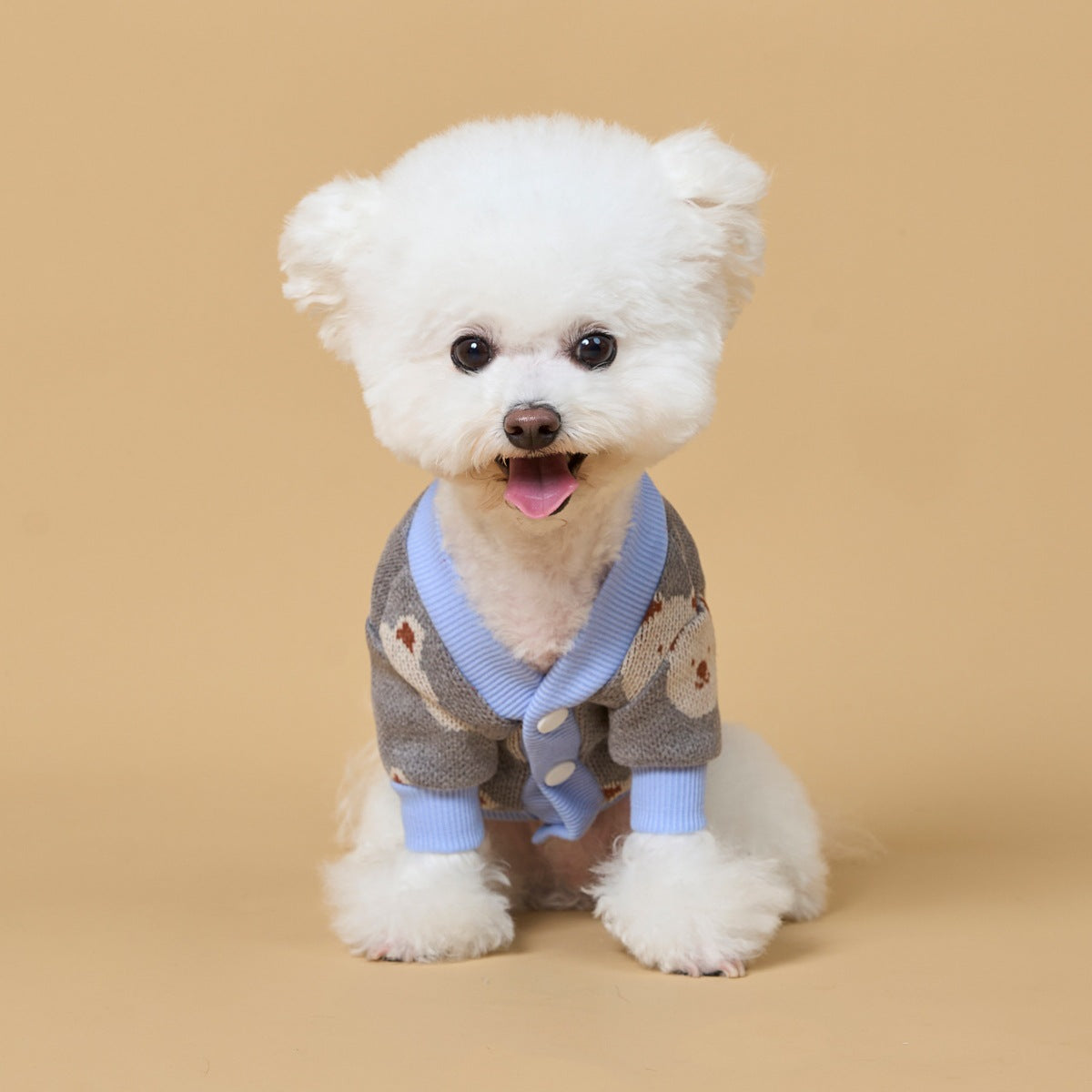 Cross-border popular bear printing pet sweater export processing personalizedfall and winterheattech dog knitting shirt dog