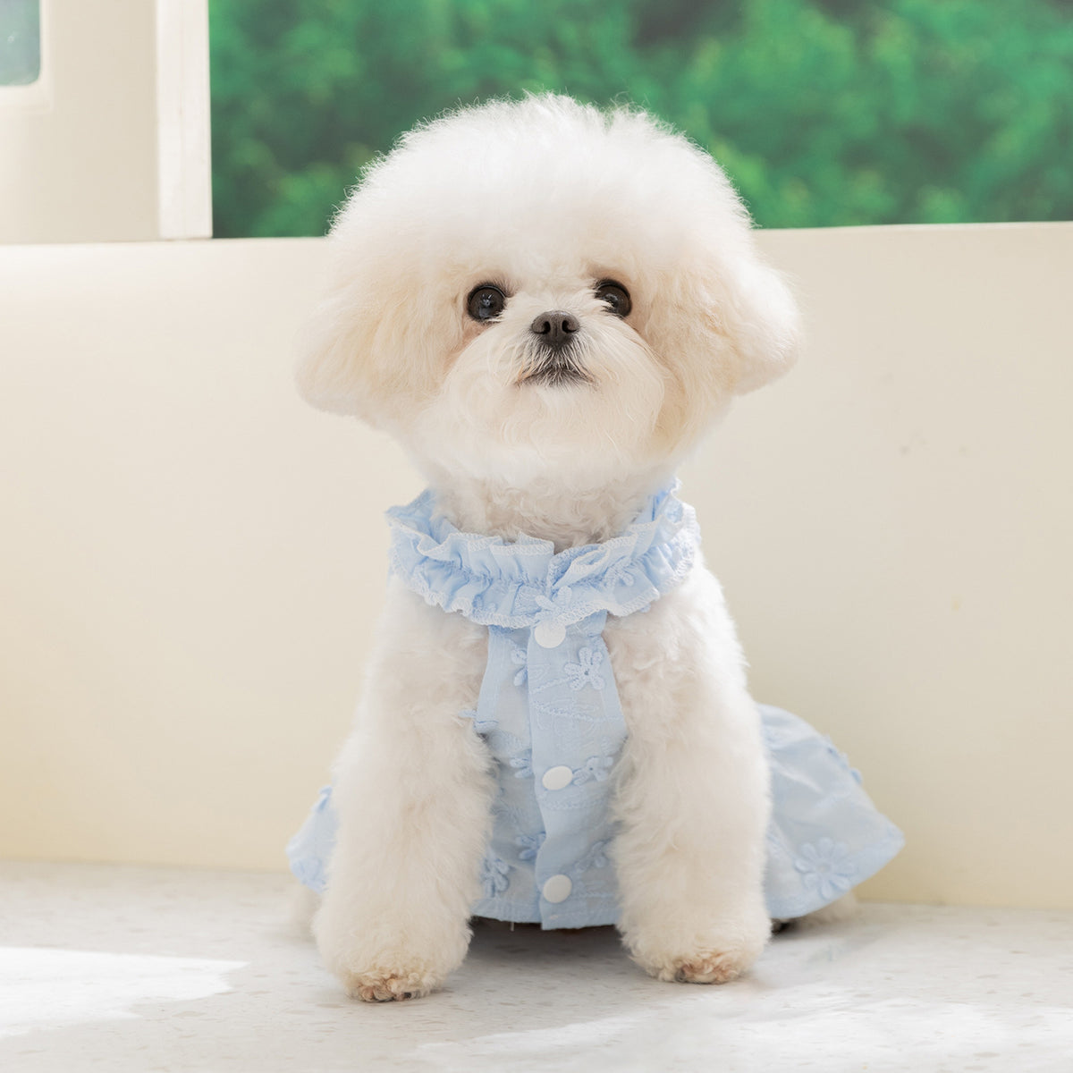 2026 new dog dress - spring/summer lightweight breathable panda & meow lace halter princess dress - pet apparel