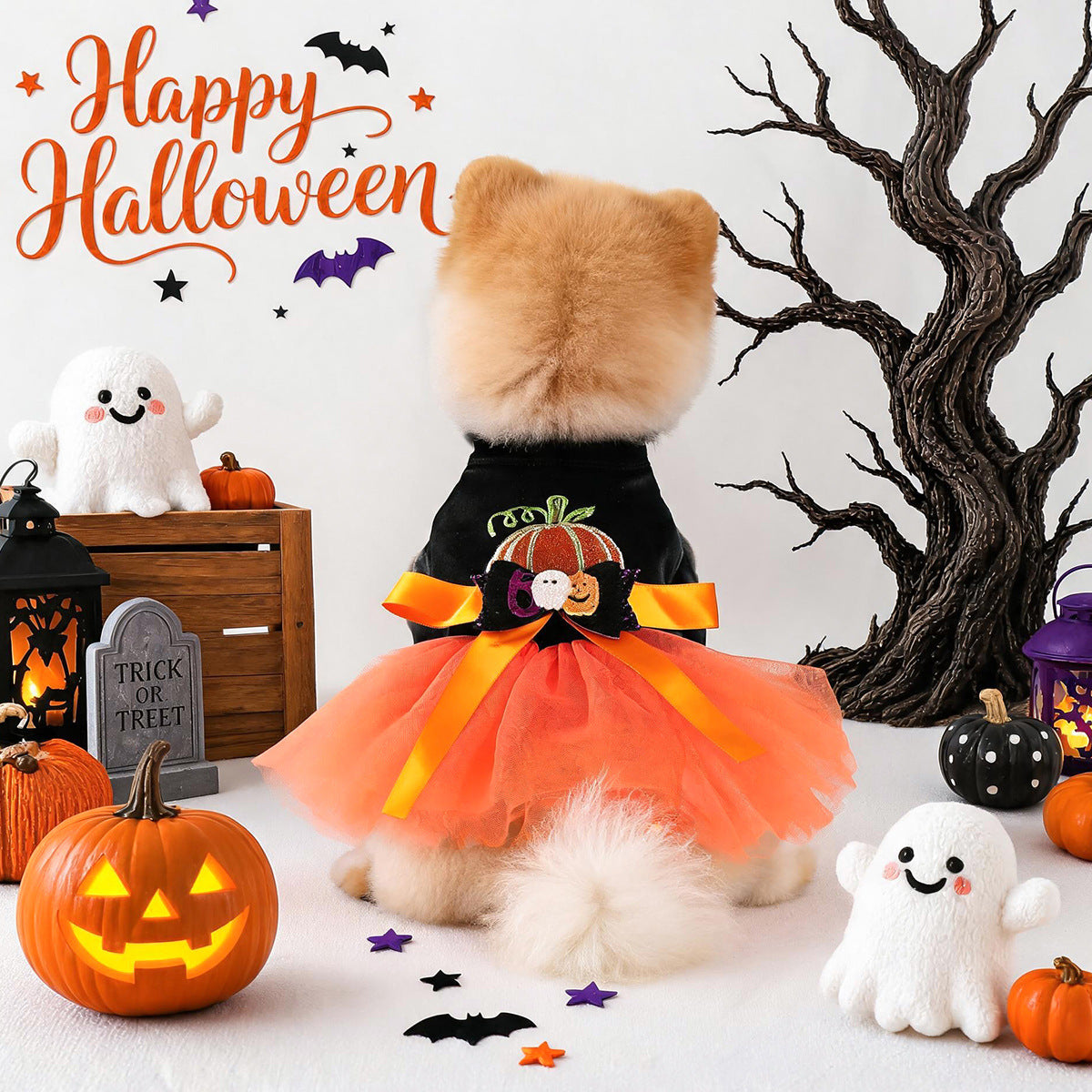 Halloween & Christmas