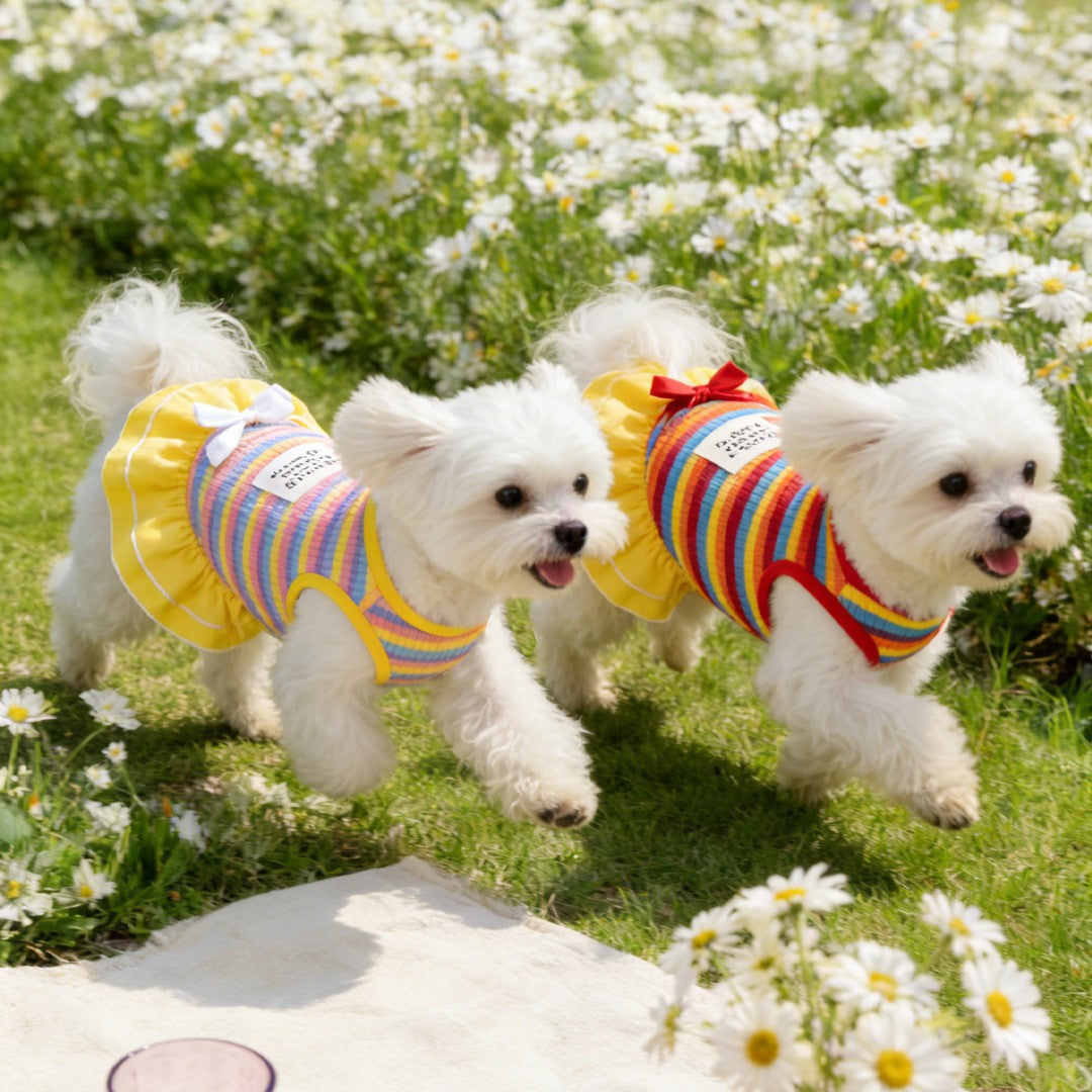 Sun protection dog clothes rainbow stripe pet dress outdoor camping pet dress dog clothes summer thin style