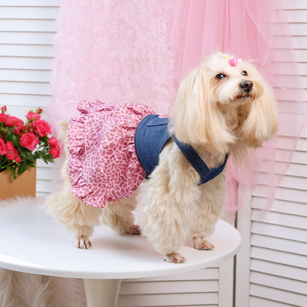 Valentine's day pet clothes small dog internet celebrity hot style heart decoration dog skirt pink leopard print pet dress