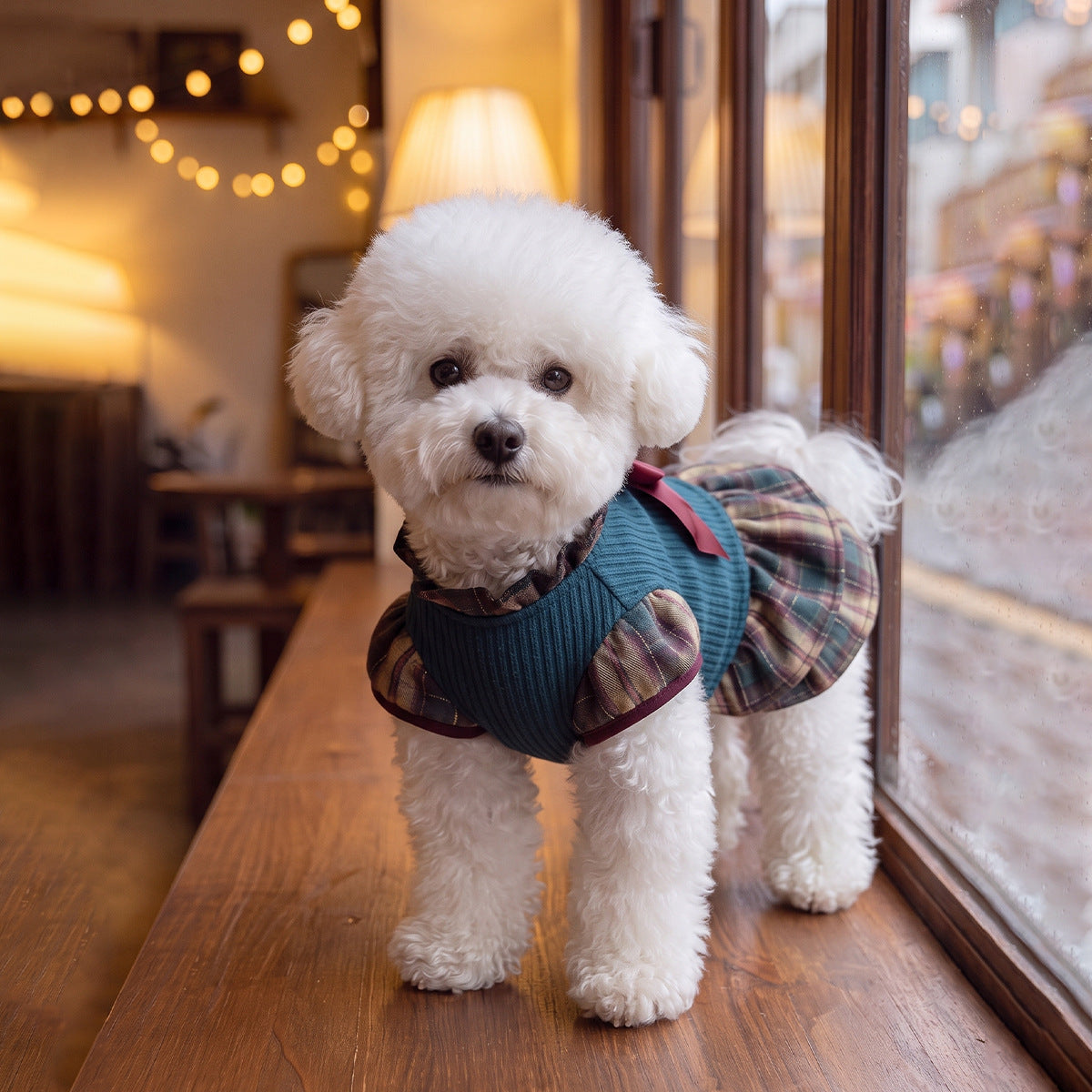Source factory thickened heattech small dog cute preppy grids bow pet clothing fall and winter pet skirt