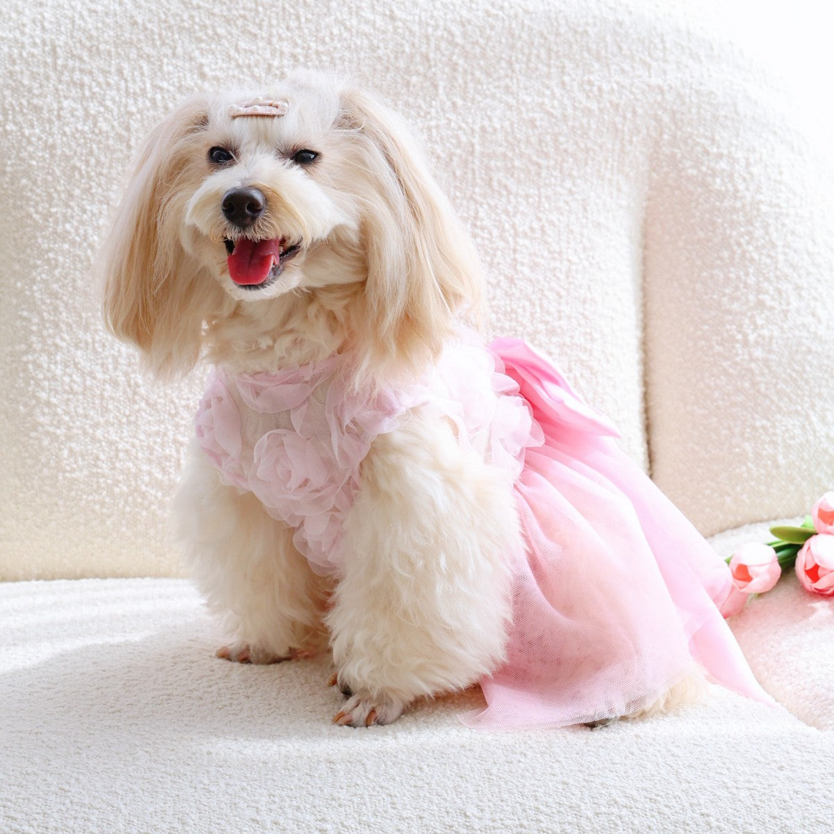 Cat and dog pink rose dress is suitable for spring and summer wear plaidcomfortable pet dog clothing skirt new arrival bichon frize