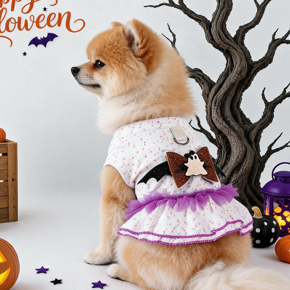 Petcircle pet clothes - spring/autumn small dog & puppy cute pet holiday costume - halloween dress