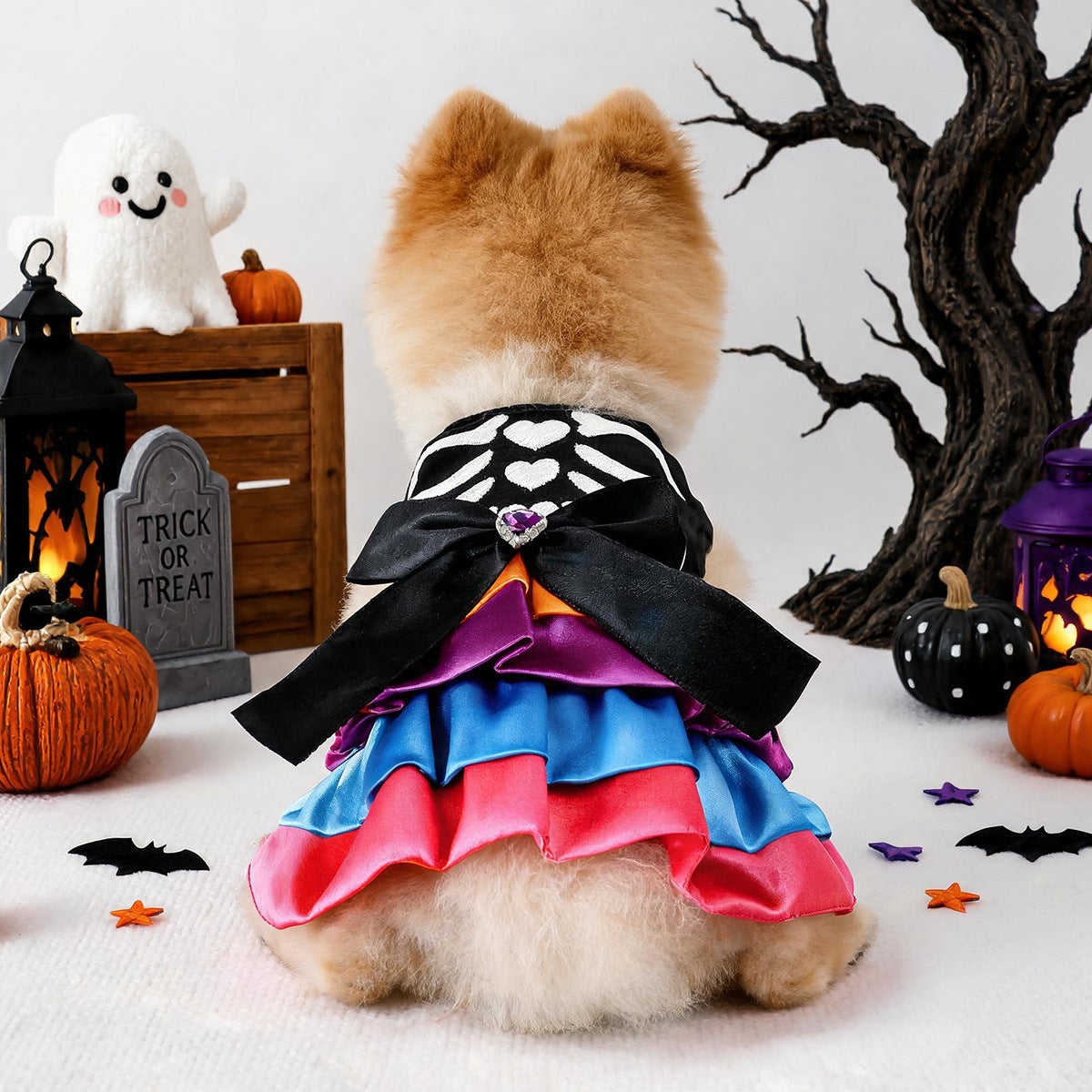 Petcircle pet circle spring/summer dog & cat cute pet holiday atmosphere styling dreamy halloween dress