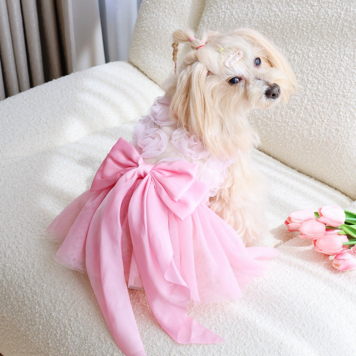 Cat and dog pink rose dress is suitable for spring and summer wear plaidcomfortable pet dog clothing skirt new arrival bichon frize