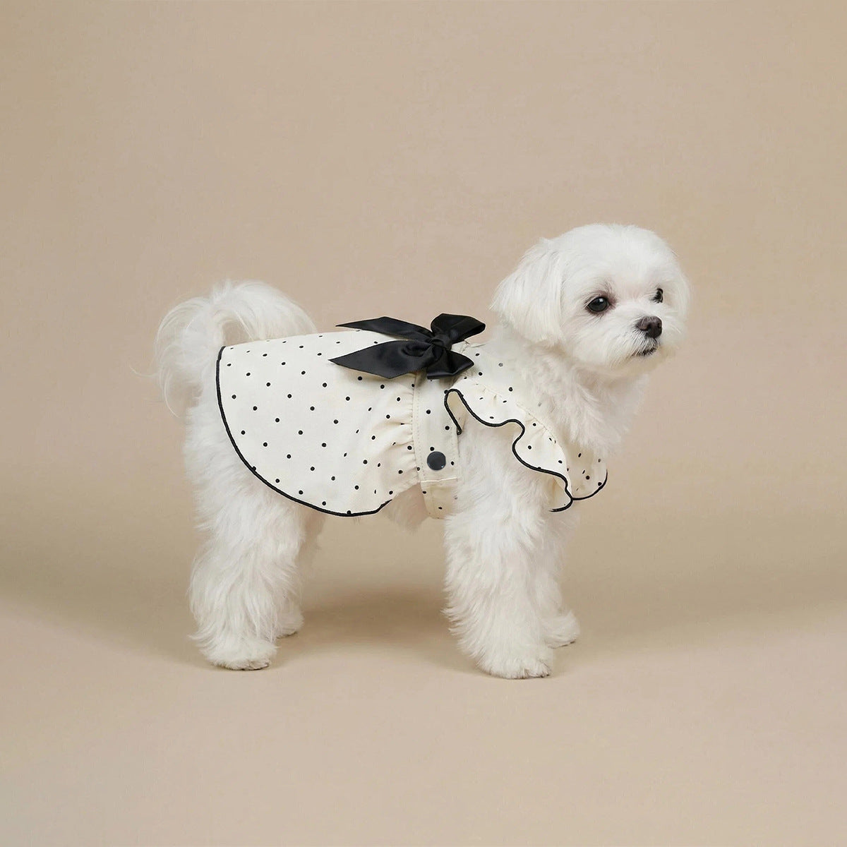 Pet clothes summer cool thin bow small dog princess dress polka dot dress dog clothes summer