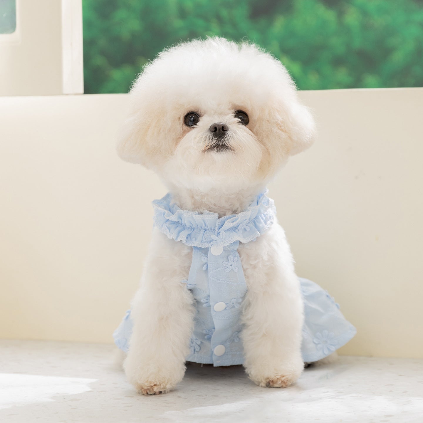 2026 new dog dress - spring/summer lightweight breathable panda & meow lace halter princess dress - pet apparel